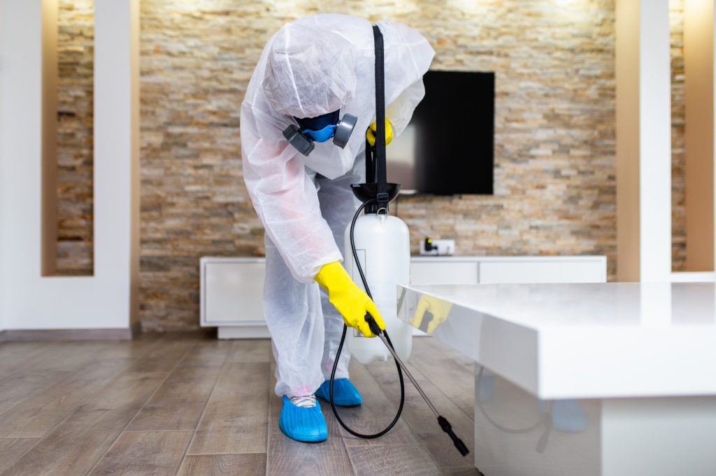 disinfection service in jaipur